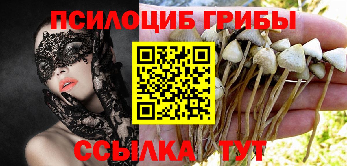 Зеленогорск  Галлюциногенные грибы GOLDEN TEACHER  Вход с VPN 