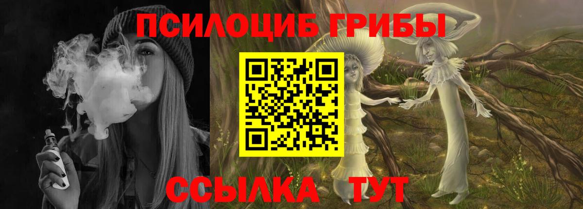 Псилоцибиновые грибы ЛСД Зеленогорск